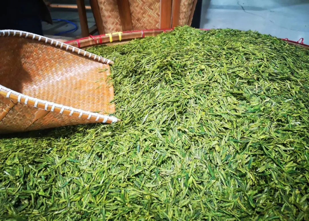 贵州省农业农村厅等六部门关于印发 《贵州抹茶产业高质量发展三年工作方案（2026—2028年）》的通知