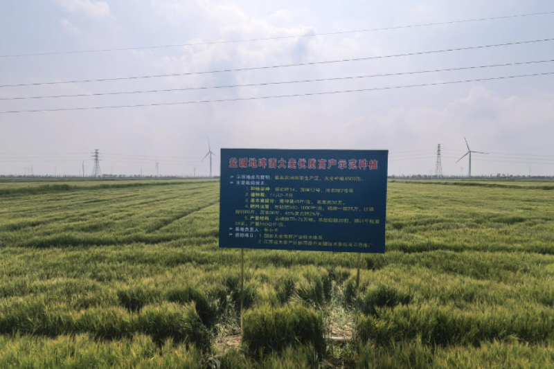 国家大麦青稞产业技术体系秋播大麦育种岗位专家赴江苏盐城参加2026年度大麦产业技术研讨会