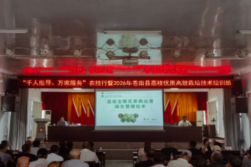 广东植保所专家参加浙江省温州市荔枝高效栽培技术培训班
