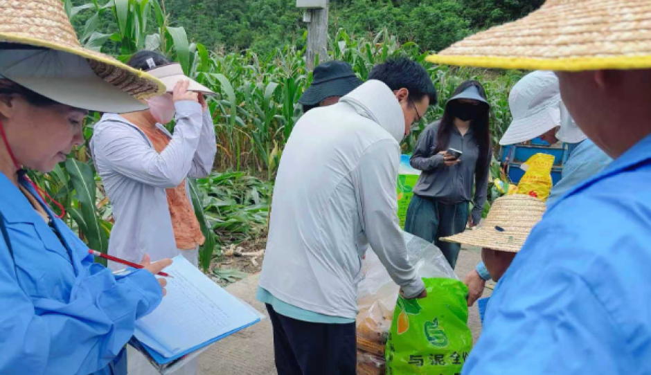广西重点研发计划项目“粮饲兼用玉米新品种制种、种植与加工 全产业链技术集成与应用示范”顺利完成现场查定
