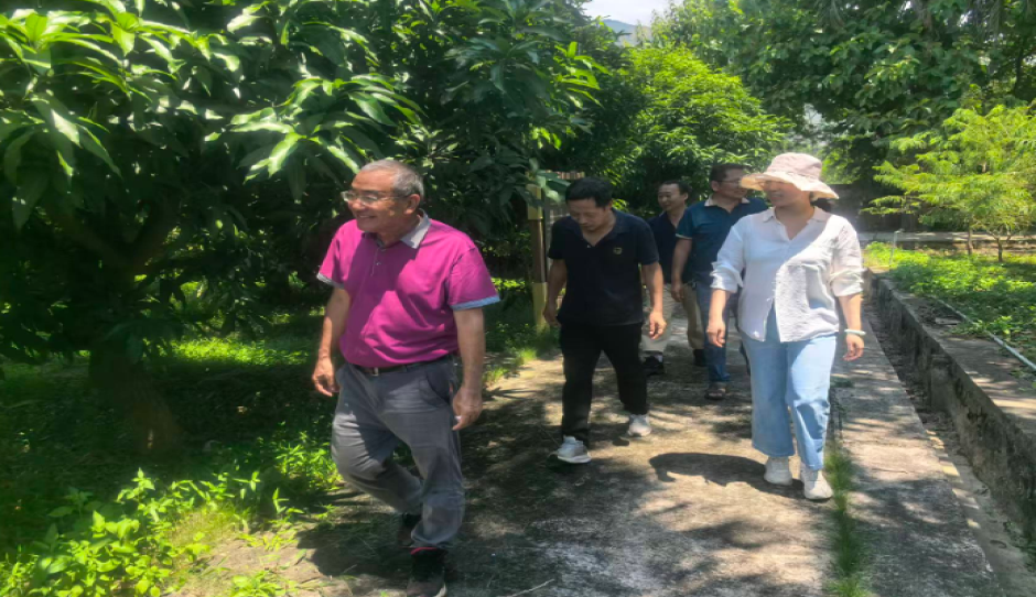 国家香蕉芒果产业技术体系芒果种质资源鉴定与新种质创制岗位专家高爱平研究员一行至热经所交流指导