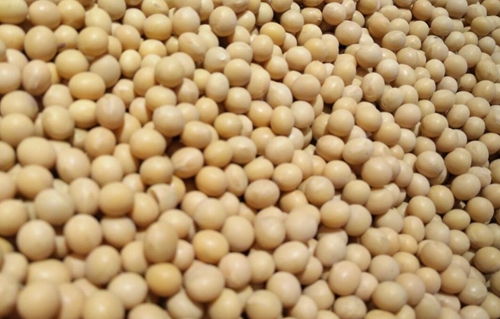 四川省财政厅、四川省农业农村厅关于提前下达2026年中央财政粮油生产保障资金的通知