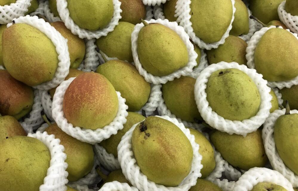 皋兰软儿梨地理标志产品地方标准制定项目正式启动